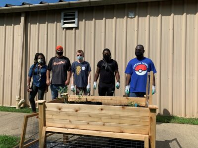 Planting Herbs and Veggies in New Raised Garden Beds