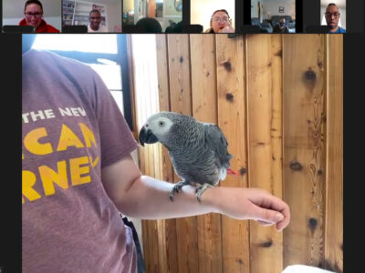 Virtual Learning Campus “Saving Species” ZOOmobile with The Maryland Zoo