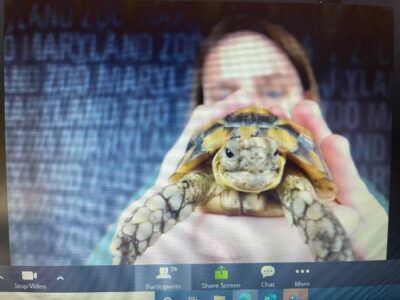 “Fur, Feathers, and Scales” ZOOmobile with The Maryland Zoo